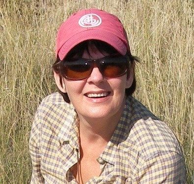 伟德国际1949始于英国创新论坛第一千五百四十四讲：Intra-plate oceanic island basalts:  retrospective and perspectives 