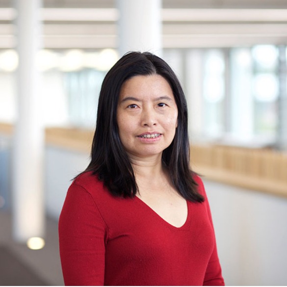 伟德国际1949始于英国创新论坛第一千九百七十七讲:Silk roads and global connections through the study of heritage materials