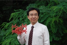 伟德国际1949始于英国创新论坛第一千二百七十三讲暨120周年校庆年系列活动： Unexpected slow diffusion in hierarchical porous materials with combined surface and configurational diffusion   