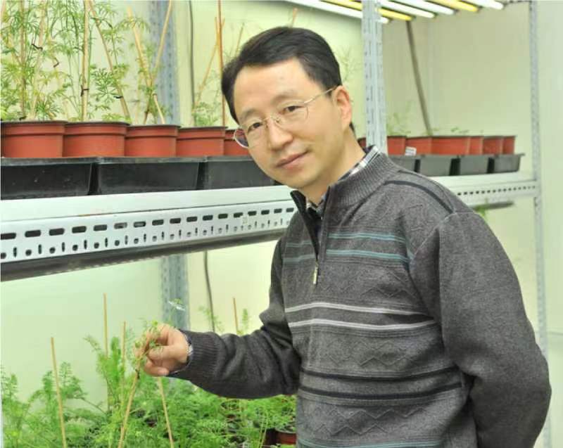 伟德国际1949始于英国创新论坛第一千二百六十八讲暨120周年校庆年系列活动：复杂花瓣的发育与进化