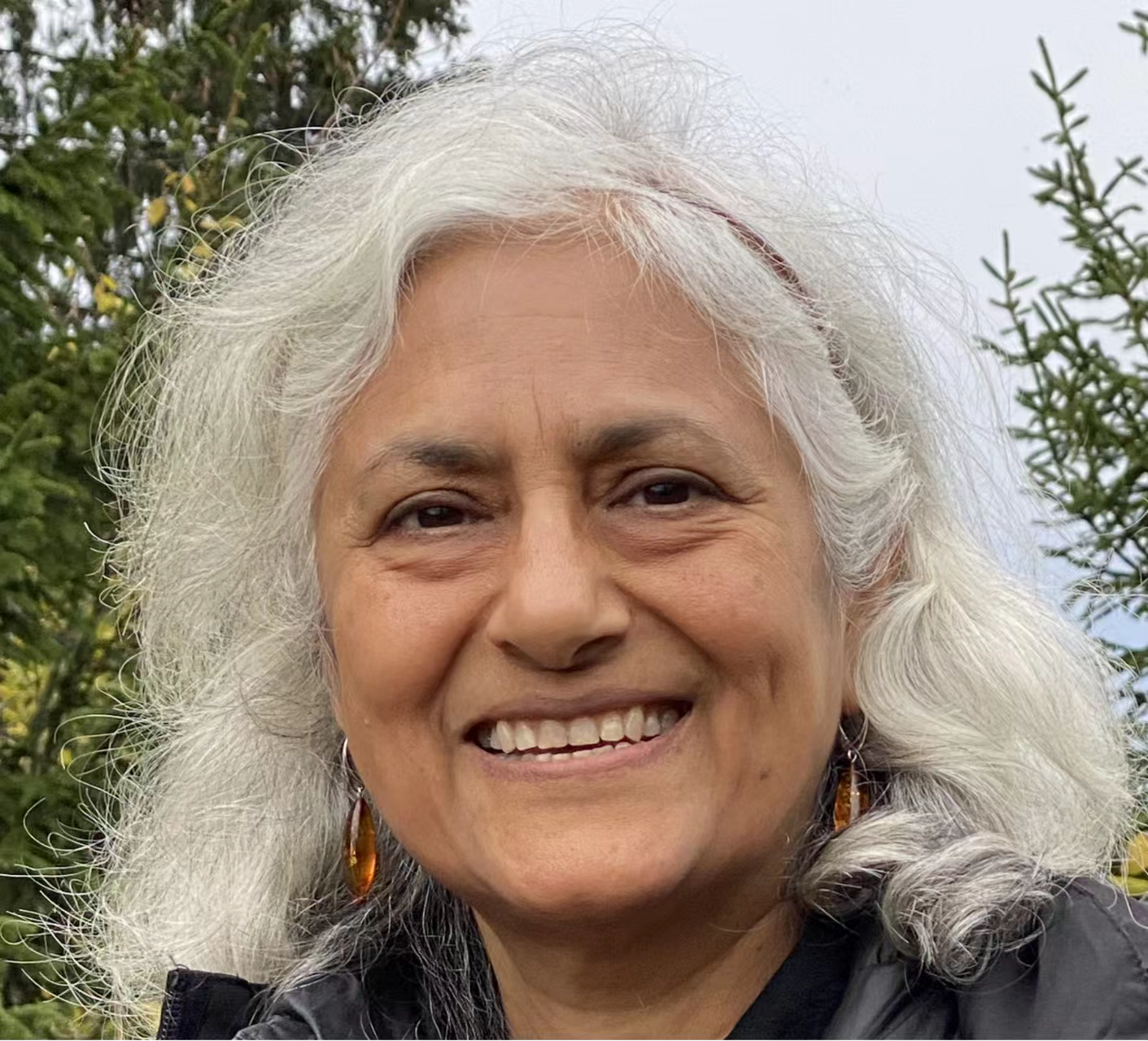 伟德国际1949始于英国创新论坛第一千七百三十九讲：Fractionalized excitations in Quantum Spin Liquids and their Detection