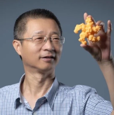 伟德国际1949始于英国创新论坛第一千六百二十六讲：植物的免疫机制